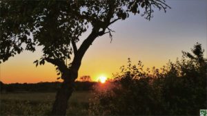 Sonnenuntergang Fasten Seminare Dobbrikow