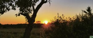 Sonnenuntergang Fasten Seminare Dobbrikow Tagesseminar